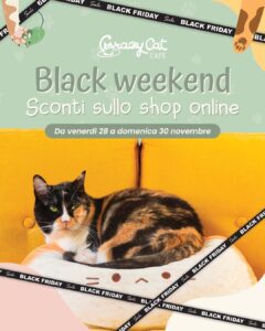 BLACK FRIDAY sullo shop online!